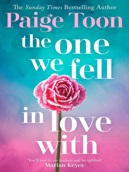 Title details for The One We Fell in Love With by Paige Toon - Wait list